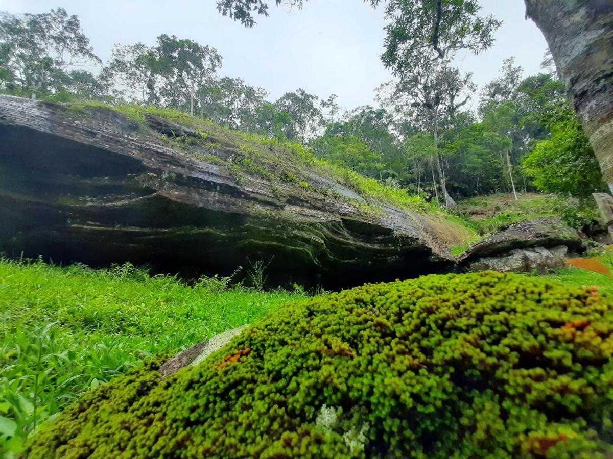 Morada Da Pedra Villa Прая Гранде Екстериор снимка